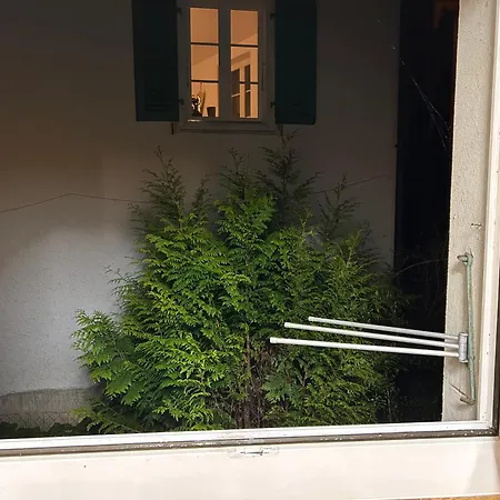 Apartament Karl Interlaken